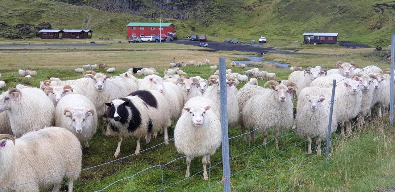 Holaskjol Highland Center Kirkjubæjarklaustur Esterno foto